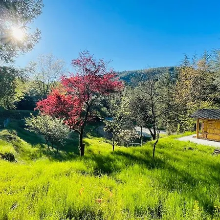 Nocleg ze śniadaniem D'hote Lavande - Le Soleil Des Cevennes Saint-Jean-du-Gard